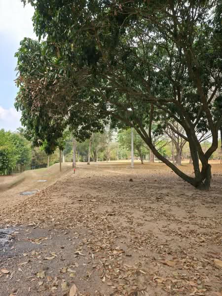 ที่ดินริมน้ำขนงพระ, Nakhon Ratchasima, Khanong Phra, Pak Chong, Nakhon Ratchasima, , 11,200 sqm, Land For Sale, by พลิศภัสร์ โชคธนวีระกานต์, 500160933 - DDproperty.com