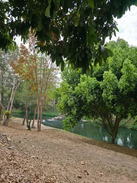 ที่ดินริมน้ำขนงพระ, Nakhon Ratchasima, Khanong Phra, Pak Chong, Nakhon Ratchasima, , 11,200 sqm, Land For Sale, by พลิศภัสร์ โชคธนวีระกานต์, 500160933 - DDproperty.com