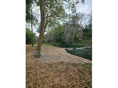 ขาย - ที่ดินริมน้ำขนงพระ, นครราชสีมา