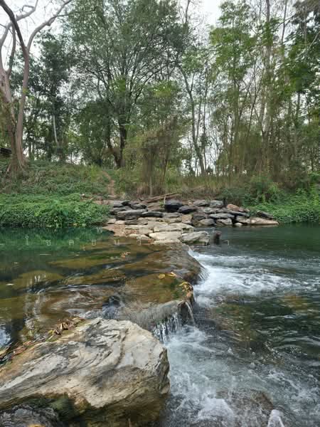 ที่ดินริมน้ำขนงพระ, Nakhon Ratchasima, Khanong Phra, Pak Chong, Nakhon Ratchasima, , 11,200 sqm, Land For Sale, by พลิศภัสร์ โชคธนวีระกานต์, 500160933 - DDproperty.com