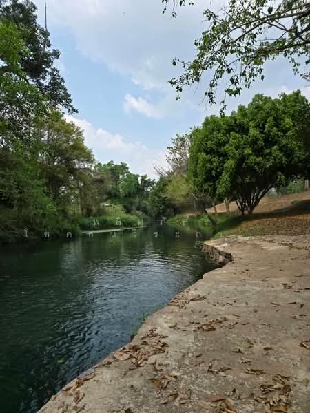 ที่ดินริมน้ำขนงพระ, Nakhon Ratchasima, Khanong Phra, Pak Chong, Nakhon Ratchasima, , 11,200 sqm, Land For Sale, by พลิศภัสร์ โชคธนวีระกานต์, 500160933 - DDproperty.com