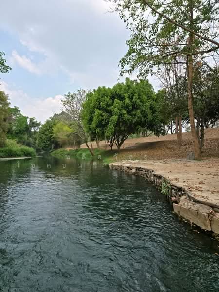 ที่ดินริมน้ำขนงพระ, นครราชสีมา, ขนงพระ, ปากช่อง, นครราชสีมา, 11,200 ตร.ม., ที่ดิน ขาย, โดย พลิศภัสร์ โชคธนวีระกานต์, 500160933 - DDproperty.com