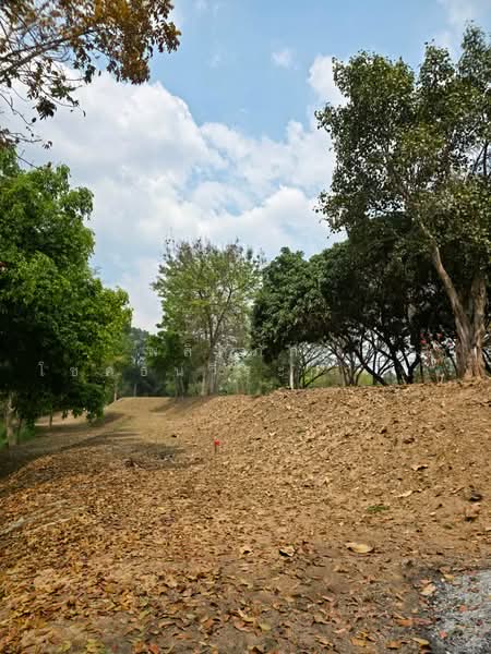 ที่ดินริมน้ำขนงพระ, นครราชสีมา, ขนงพระ, ปากช่อง, นครราชสีมา, 11,200 ตร.ม., ที่ดิน ขาย, โดย พลิศภัสร์ โชคธนวีระกานต์, 500160933 - DDproperty.com