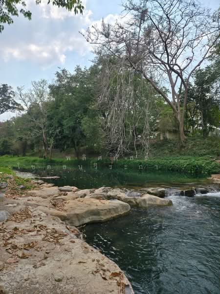 ที่ดินริมน้ำขนงพระ, Nakhon Ratchasima, Khanong Phra, Pak Chong, Nakhon Ratchasima, , 11,200 sqm, Land For Sale, by พลิศภัสร์ โชคธนวีระกานต์, 500160933 - DDproperty.com