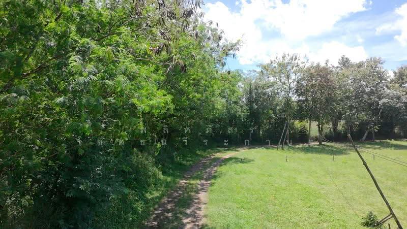 ที่ดินริมน้ำขนงพระ, Nakhon Ratchasima, Khanong Phra, Pak Chong, Nakhon Ratchasima, , 11,200 sqm, Land For Sale, by พลิศภัสร์ โชคธนวีระกานต์, 500160933 - DDproperty.com