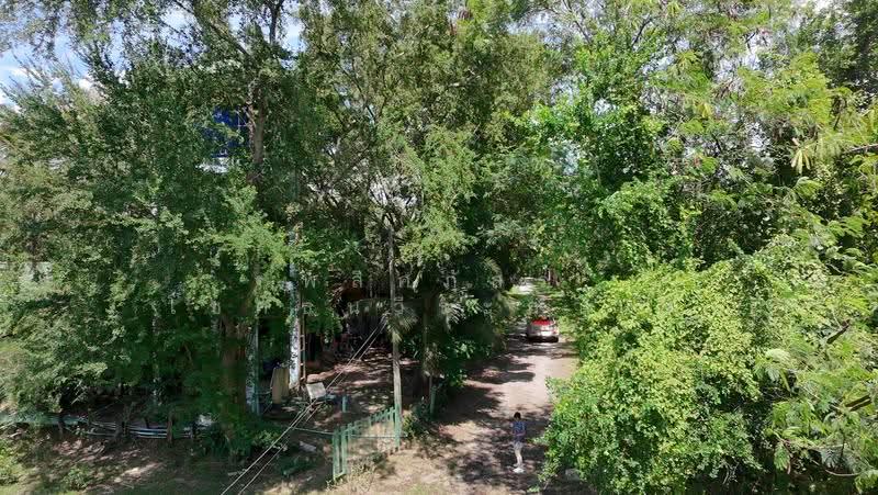 ที่ดินริมน้ำขนงพระ, นครราชสีมา, ขนงพระ, ปากช่อง, นครราชสีมา, 11,200 ตร.ม., ที่ดิน ขาย, โดย พลิศภัสร์ โชคธนวีระกานต์, 500160933 - DDproperty.com