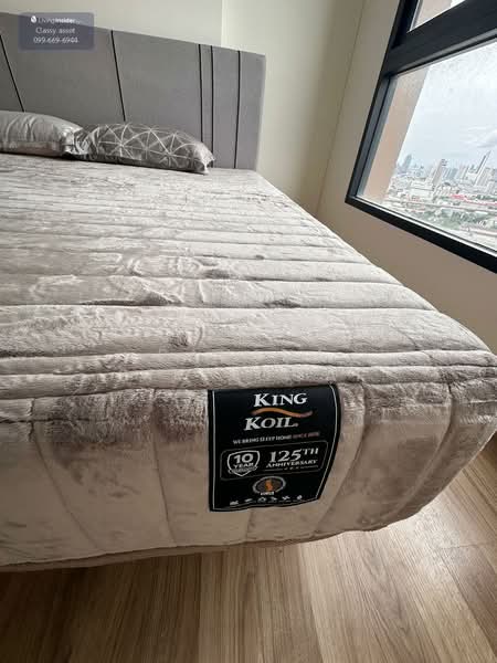 Niche Mono Charoen Nakorn, Bangkok, Charoen Nakhon Road, Dao Khanong, Thon Buri, Bangkok, 2 Bedrooms, 50 sqm, Condo For Rent, by Pavana Sirikogar, 500161039 - DDproperty.com