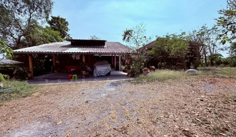 ใกล้เซ็นทรัลเวสต์เกต, นนทบุรี, บางแม่นาง, บางใหญ่, นนทบุรี, 6,400 ตร.ม., ที่ดิน ขาย, โดย ชนะชาติ นนท์ตา, 500161041 - DDproperty.com