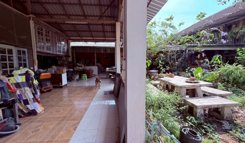 ใกล้เซ็นทรัลเวสต์เกต, นนทบุรี, บางแม่นาง, บางใหญ่, นนทบุรี, 6,400 ตร.ม., ที่ดิน ขาย, โดย ชนะชาติ นนท์ตา, 500161041 - DDproperty.com