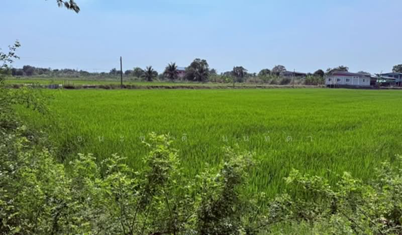 Near Central Westgate, Nonthaburi, Bang Mae Nang, Bang Yai, Nonthaburi, , 6,400 sqm, Land For Sale, by ชนะชาติ นนท์ตา, 500161041 - DDproperty.com