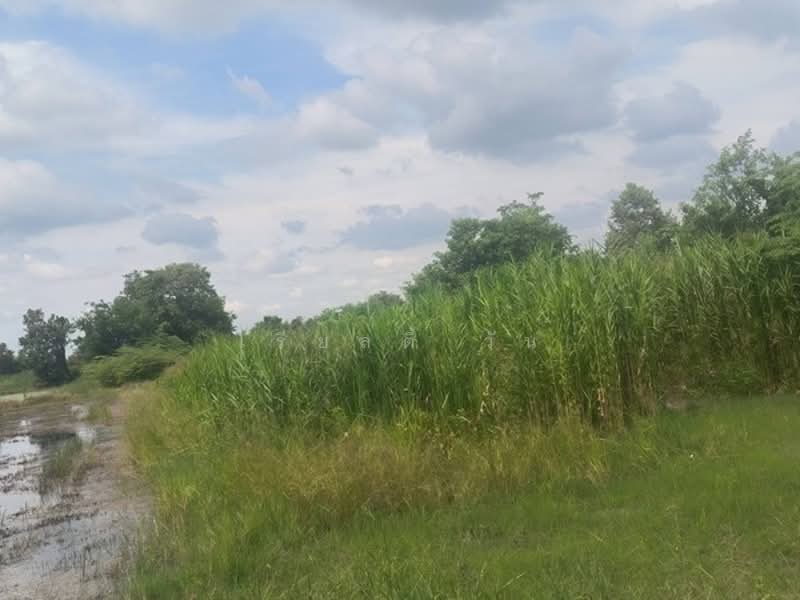 ขาย - ขายที่ดินเปล่า ต.ห้วยด้วน อ.ดอนตูม ทำเลดี ใกล้ทางด่วนเพียง 5 กม., นครปฐม