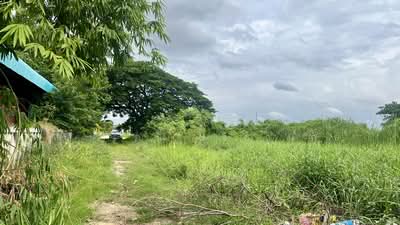 ขาย - ที่ดิน ต.สนามจันทร์ เมืองนครปฐม, นครปฐม