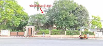 ขาย - โครงการบ้านทะเลพัทยา (นาจอมเทียน), ชลบุรี