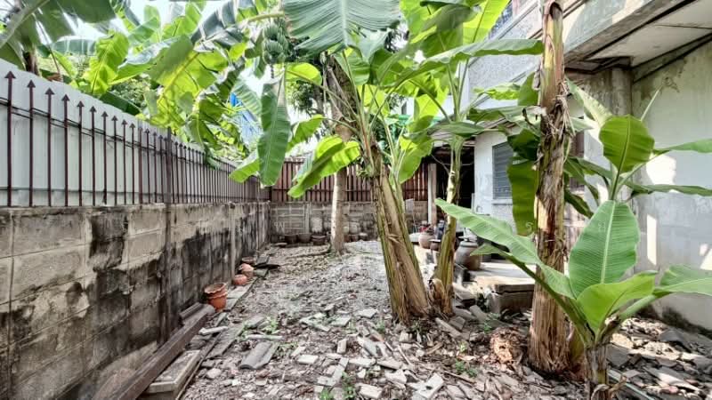 บ้านมิตรประชา วิลล่า โครงการ 15, นนทบุรี, บางกรวย-ไทรน้อย, บางบัวทอง, บางบัวทอง, นนทบุรี, 140 ตร.ม., บ้านเดี่ยว ขาย, โดย คุณ พิมพ์สิริ ( ทราย ), 500161165 - DDproperty.com