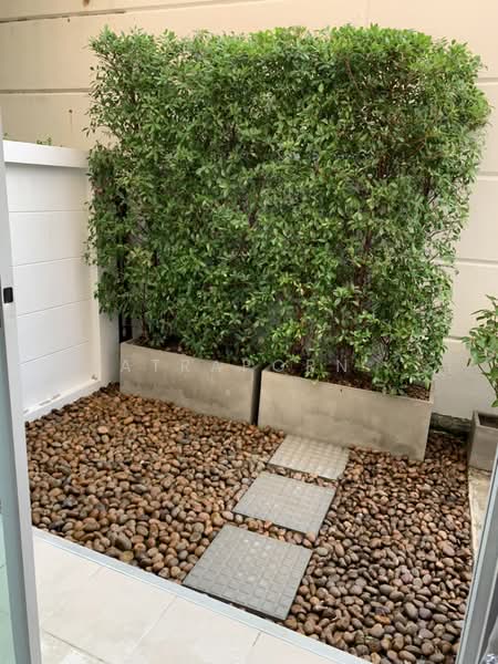 Baan Klang Muang Chokchai 4, Bangkok, Chokchai 4 Road, Lat Phrao, Lat Phrao, Bangkok, 3 Bedrooms, 149 sqm, Townhouse For Sale, by Pattharaporn Buamuang, 500161195 - DDproperty.com