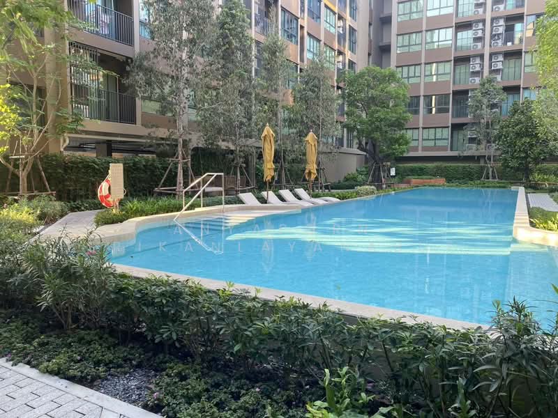 Dcondo Calm Ramkhamhaeng 40, Bangkok, Hua Mak, Bang Kapi, Bangkok, Studio, 25 sqm, Condo For Rent, by Anyaporn Srikanlayanabut, 500161246 - DDproperty.com