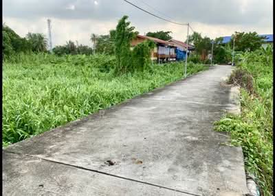 ขาย - ขายที่ดิน 901 ตรว. เกาะเกร็ด, นนทบุรี