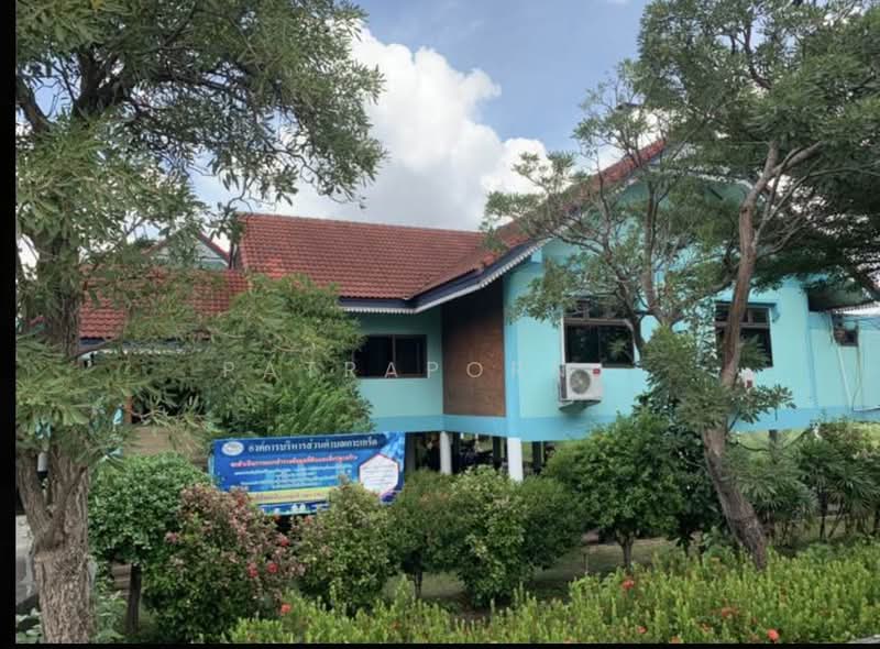 ขายที่ดิน 901 ตรว. เกาะเกร็ด, นนทบุรี, เกาะเกร็ด, ปากเกร็ด, นนทบุรี, 3,604 ตร.ม., ที่ดิน ขาย, โดย Patraporn ., 500161274 - DDproperty.com