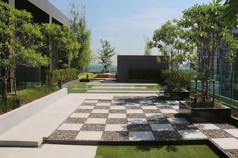 Rhythm Ratchada, Bangkok, 558 Ratchadaphisek Road, Samsen Nok, Huai Khwang, Bangkok, 1 Bedroom, 24 sqm, Condo For Rent, by Praewpakar Soontawong, 500161283 - DDproperty.com