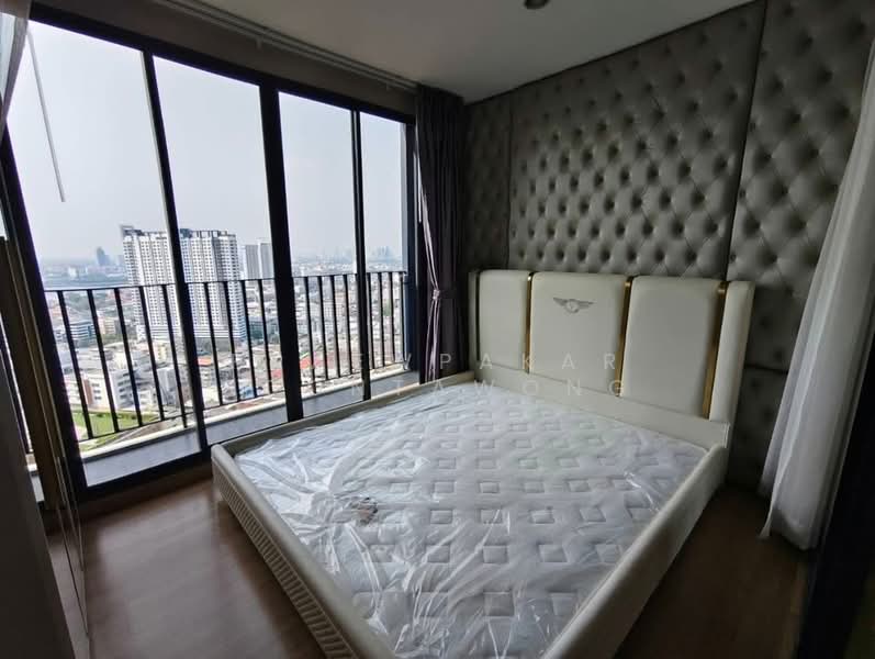 The Tree Interchange : เดอะ ทรี อินเตอร์เชนจ์, กรุงเทพ, ถนนประชาราษฎร์ สาย 2, บางซื่อ, บางซื่อ, กรุงเทพ, 36 ตร.ม., คอนโด ให้เช่า, โดย Praewpakar Soontawong, 500161315 - DDproperty.com