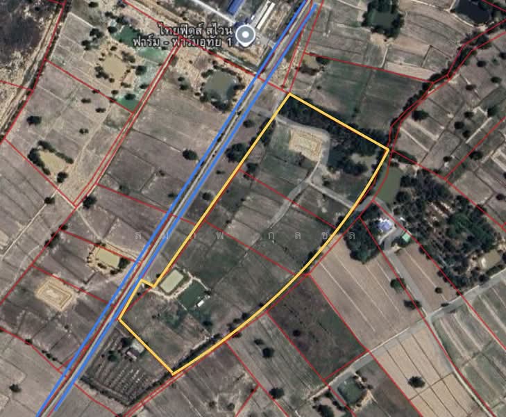 สว่างอารมณ์, Uthai Thani, Nong Luang, Sawang Arom, Uthai Thani, , 57,660 sqm, Land For Sale, by สมภพ กุลชล, 500161332 - DDproperty.com