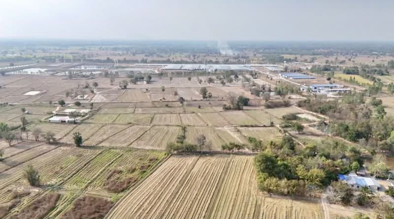 สว่างอารมณ์, Uthai Thani, Nong Luang, Sawang Arom, Uthai Thani, , 57,660 sqm, Land For Sale, by สมภพ กุลชล, 500161332 - DDproperty.com