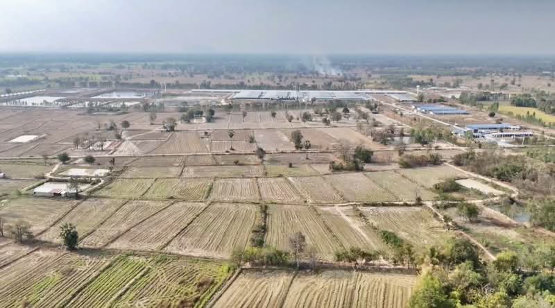 สว่างอารมณ์, Uthai Thani, Nong Luang, Sawang Arom, Uthai Thani, , 57,660 sqm, Land For Sale, by สมภพ กุลชล, 500161332 - DDproperty.com