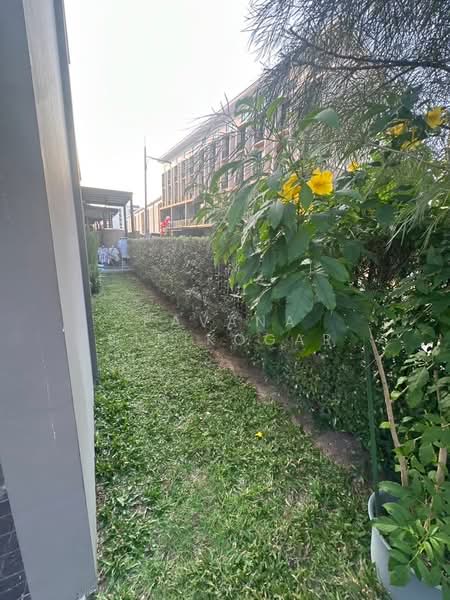 Patio Ratchayothin, Bangkok, Phahonyothin 32, Chan Kasem, Chatuchak, Bangkok, 6 Bedrooms, 267 sqm, Townhouse For Rent, by Pavana Sirikogar, 500161367 - DDproperty.com