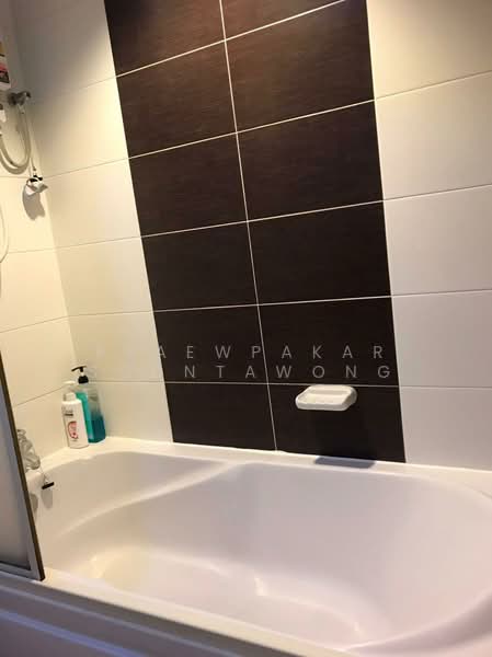 Grand Park View Asoke, Bangkok, 21 Sukhumvit Road, Khlongtoei Nua, Watthana, Bangkok, 1 Bedroom, 37 sqm, Condo For Rent, by Praewpakar Soontawong, 500161368 - DDproperty.com