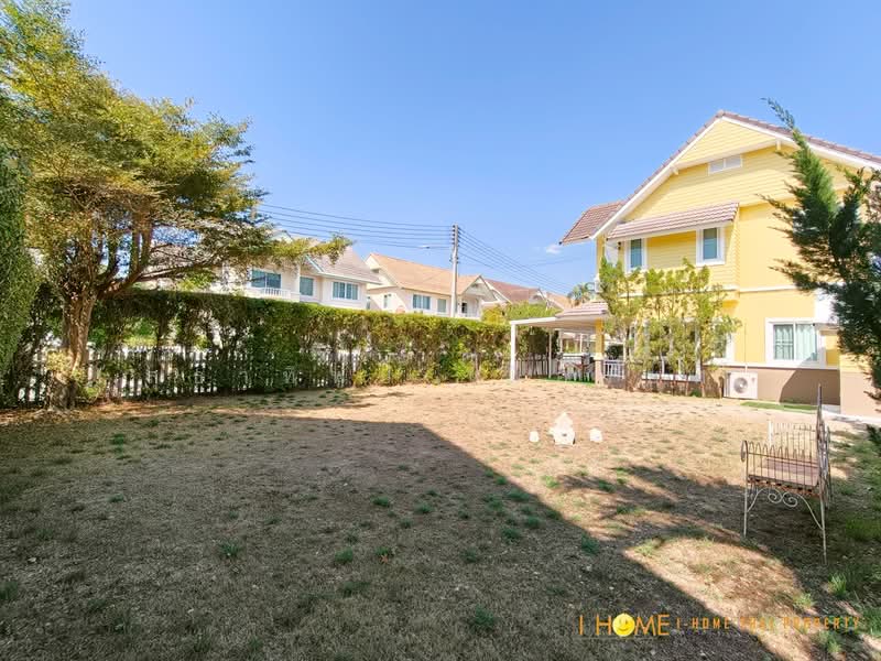 ม.นนนิภา แม่โจ้, Chiang Mai, Nong Harn, San Sai, Chiang Mai, 3 Bedrooms, 420 sqm, Single Detached House For Rent, by สุธาทิพย์ เมืองยศ, 500161450 - DDproperty.com