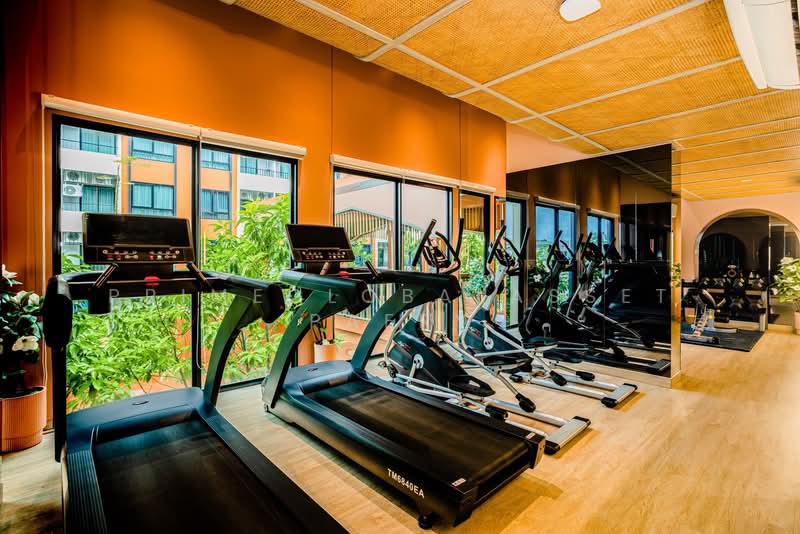 The Cube Amaze Srisoonthon, Phuket, 46/21 Srisoonthorn Rd, Sri Sunthon, Thalang, Phuket, 1 Bedroom, 29 sqm, Condo For Rent, by primeglobalasset paery, 500161453 - DDproperty.com