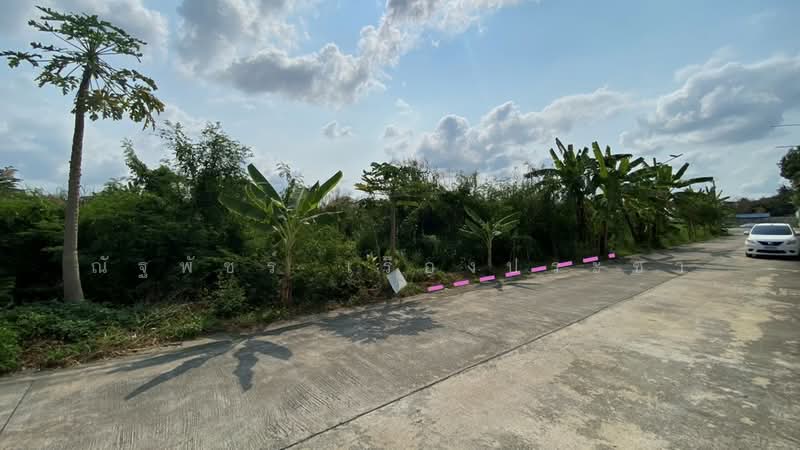 Land For Sale, Samut Sakhon, พุทธมณฑล สาย 4, Om Noi, Krathum Baen, Samut Sakhon, , 772 sqm, Land For Sale, by Natthaphat Ruangpracha, 500161457 - DDproperty.com