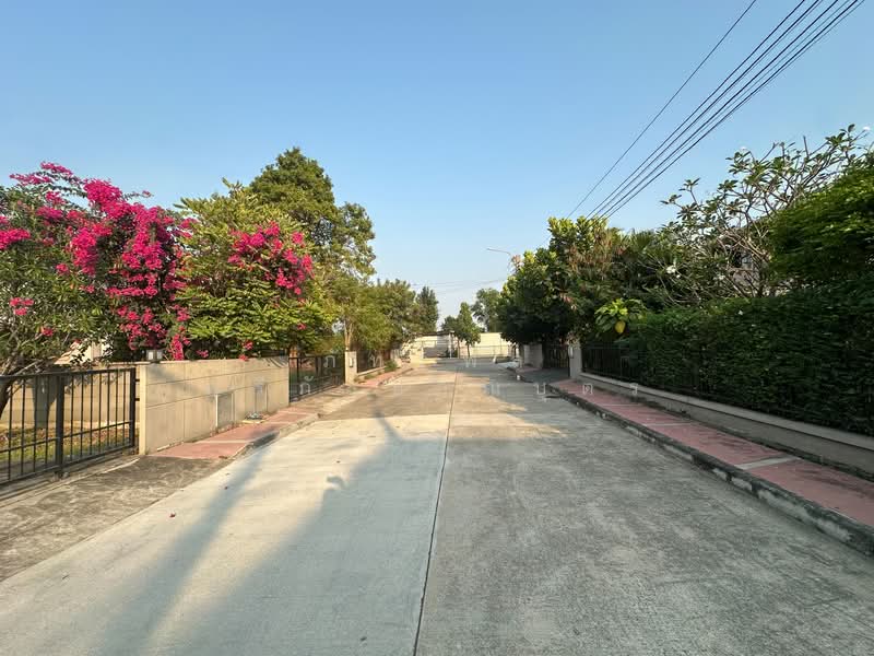 The Plant Chalongkrung 2, Bangkok, Chalong Krung Road, Lam Phak Chi, Nong Chok, Bangkok, 2 Bedrooms, 142 sqm, Single Detached House For Sale, by ภัทรพล ศรีกัลยาณบุตร, 500161496 - DDproperty.com