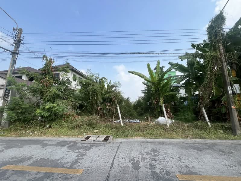 ที่ดินเปล่า ซอยลาดพร้าว87 ออกถึงถนนเลียบด่วน 200 เมตร, กรุงเทพ, ลาดพร้าว, คลองเจ้าคุณสิงห์, วังทองหลาง, กรุงเทพ, 416 ตร.ม., ที่ดิน ขาย, โดย เดชวิทย์ แจ้งสัจจา, 500161518 - DDproperty.com