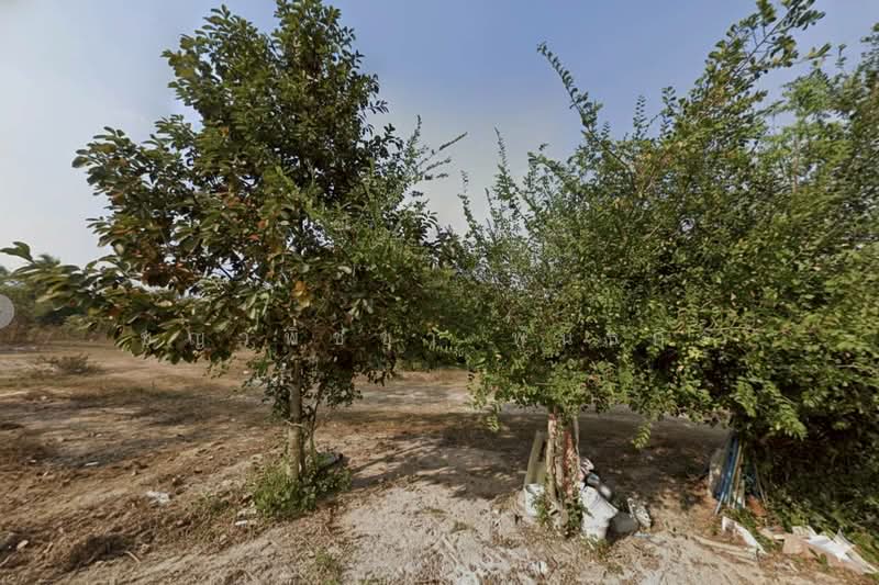 ขาย ที่ดินเปล่า บางละมุง ชลบุรี 50 ตรว. ใกล้แหลมฉบัง ทำเลทองคำที่นักลงทุนและครอบครัวมองหา, ชลบุรี, ตะเคียนเตี้ย, บางละมุง, ชลบุรี, 200 ตร.ม., ที่ดิน ขาย, โดย ชญาพิชชา พันธกิจ, 500161539 - DDproperty.com