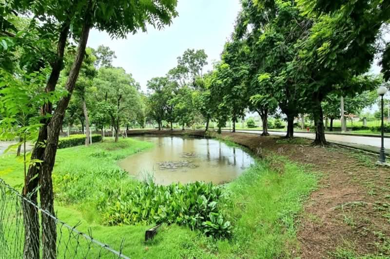 ที่ดินเปล่า เนื้อที่ 70 ตร.ว. โครงการ ชัยพฤกษ์ 1 (ซอยคุ้มเกล้า 7), Bangkok, สุวินทวงศ์, Lam Pla Tiew, Lat Krabang, Bangkok, , 280 sqm, Land For Sale, by ชนะชาติ นนท์ตา, 500161581 - DDproperty.com