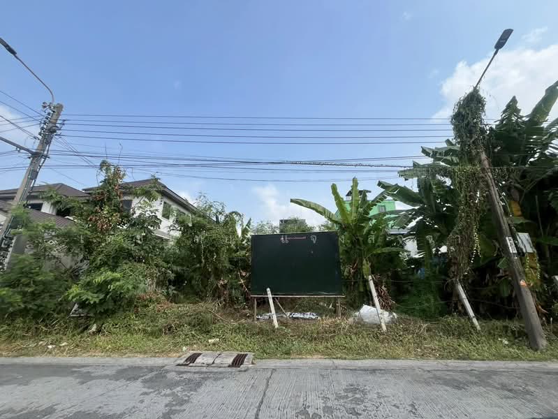 ขาย - ที่ดินเปล่าซอยลาดพร้าว 87 ออกเลียบด่วนเพียงแค่ 200 เมตร, กรุงเทพ