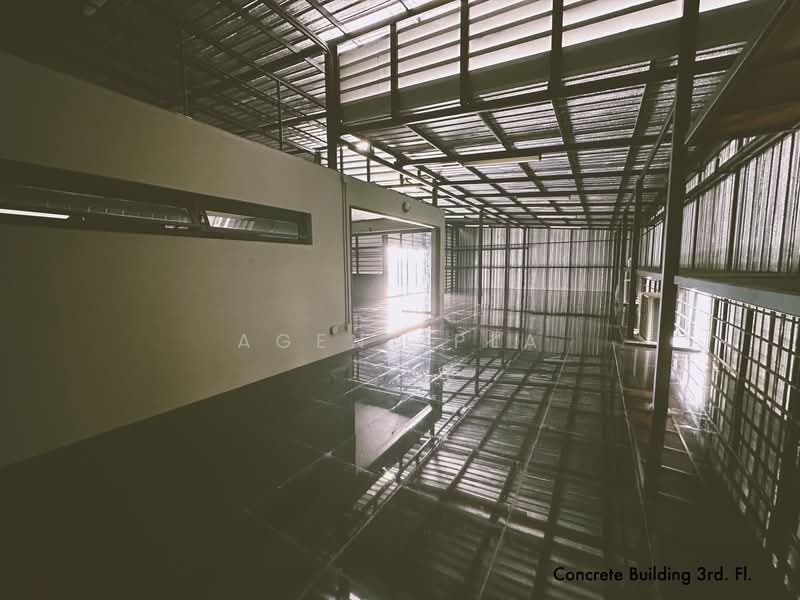 Renovated Office Building for Rent, Ratchadaphisek 32 (SPSAD3836), Bangkok, Chan Kasem, Chatuchak, Bangkok, , 1,200 sqm, Shophouse For Rent, by Agent Pla, 500161628 - DDproperty.com