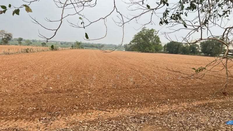 WPDD-065 ขายที่ดิน นครราชสีมา 35 ไร่ 23 ตร.ว. ที่ดินสีม่วงเข้ม, นครราชสีมา, หนองบัวศาลา, เมืองนครราชสีมา, นครราชสีมา, 56,092 ตร.ม., ที่ดิน ขาย, โดย วันวิสาข์ ปัญจรงคะ, 500161666 - DDproperty.com