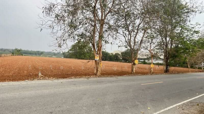 WPDD-065 ขายที่ดิน นครราชสีมา 35 ไร่ 23 ตร.ว. ที่ดินสีม่วงเข้ม, นครราชสีมา, หนองบัวศาลา, เมืองนครราชสีมา, นครราชสีมา, 56,092 ตร.ม., ที่ดิน ขาย, โดย วันวิสาข์ ปัญจรงคะ, 500161666 - DDproperty.com