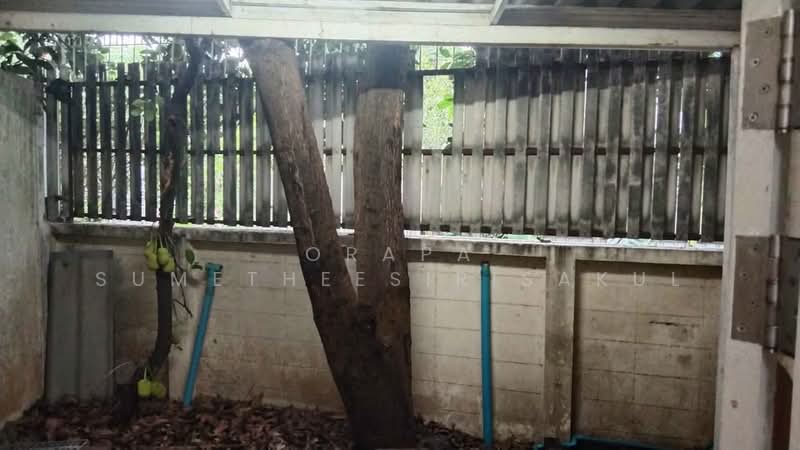 5-BR Townhouse, Bangkok, Bang Waek, Phasi Charoen, Bangkok, 5 Bedrooms, 300 sqm, Townhouse For Sale, by Orapa Sumetheesirisakul, 500161670 - DDproperty.com