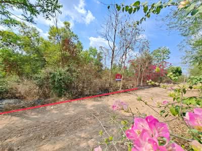 ขาย - ที่ดินบางน้ำเปรี้ยว ฉะเชิงเทรา, ฉะเชิงเทรา