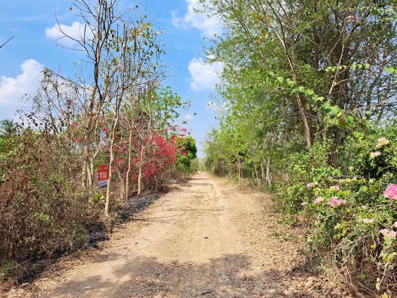 ที่ดินบางน้ำเปรี้ยว ฉะเชิงเทรา, Chachoengsao, Monthong, Bang Nam Prieo, Chachoengsao, , 572 sqm, Land For Sale, by The Best Property เป๊ก, 500161763 - DDproperty.com