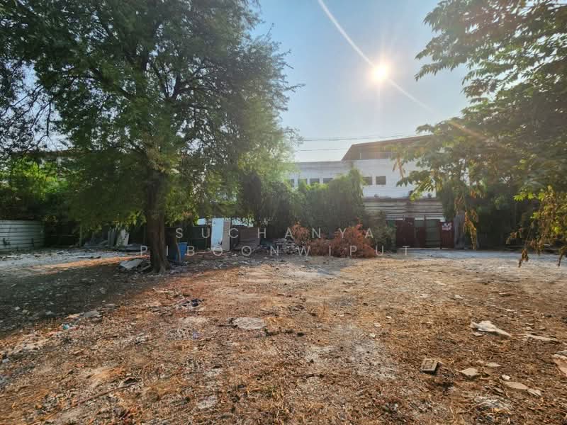 ที่ดินให้ ซอยสุขุมวิท 101/1 วชิรธรรมสาธิต สามารถทำธุรกิจได้, กรุงเทพ, สุขุมวิท 101/1 วชิรธรรมสาธิต, บางจาก, พระโขนง, กรุงเทพ, 1,000 ตร.ม., ที่ดิน ให้เช่า, โดย Suchanya Piboonwiput, 500161790 - DDproperty.com