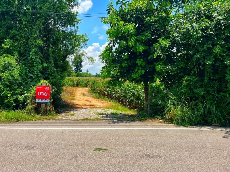 ที่ดินมโนรมย์ ชัยนาท, ชัยนาท, คุ้งสำเภา, มโนรมย์, ชัยนาท, 17,080 ตร.ม., ที่ดิน ขาย, โดย The Best Property แอ้, 500161841 - DDproperty.com