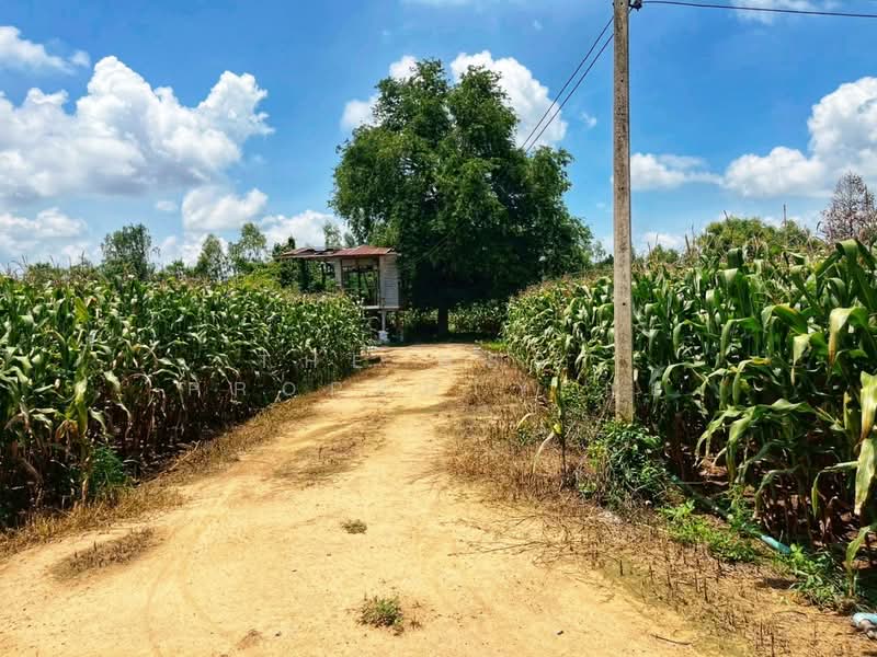 ที่ดินมโนรมย์ ชัยนาท, ชัยนาท, คุ้งสำเภา, มโนรมย์, ชัยนาท, 17,080 ตร.ม., ที่ดิน ขาย, โดย The Best Property แอ้, 500161841 - DDproperty.com