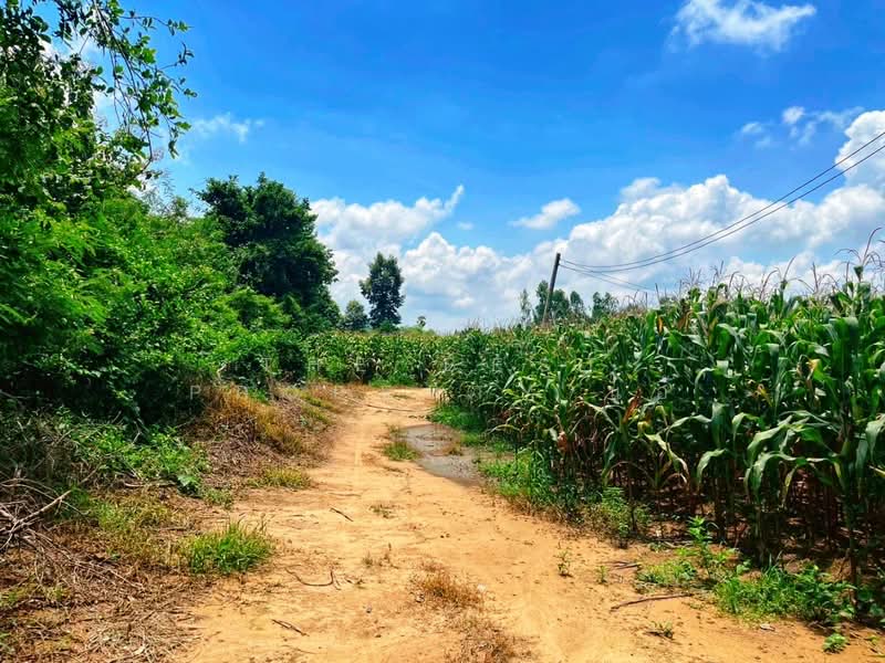 ที่ดินมโนรมย์ ชัยนาท, ชัยนาท, คุ้งสำเภา, มโนรมย์, ชัยนาท, 17,080 ตร.ม., ที่ดิน ขาย, โดย The Best Property แอ้, 500161841 - DDproperty.com