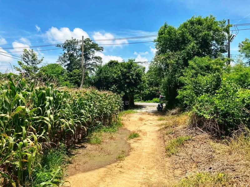 ที่ดินมโนรมย์ ชัยนาท, ชัยนาท, คุ้งสำเภา, มโนรมย์, ชัยนาท, 17,080 ตร.ม., ที่ดิน ขาย, โดย The Best Property แอ้, 500161841 - DDproperty.com