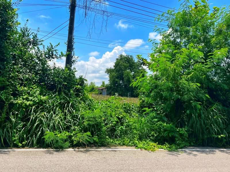 ที่ดินมโนรมย์ ชัยนาท, Chai Nat, Khung Samphao, Manorom, Chai Nat, , 17,080 sqm, Land For Sale, by The Best Property แอ้, 500161841 - DDproperty.com