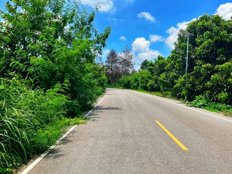 ที่ดินมโนรมย์ ชัยนาท, Chai Nat, Khung Samphao, Manorom, Chai Nat, , 17,080 sqm, Land For Sale, by The Best Property แอ้, 500161841 - DDproperty.com